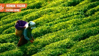 Çay üreticileri borsada yer alan bir firma ile sözleşme yapacak,