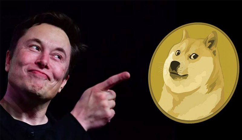 Babası DOGE bakanı oldu, Dogecoin rekor artışa sıçradı