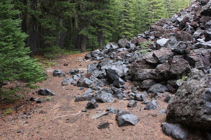 Rize’nin Pazar ilçesinde orman, tarla, çay bahçeleri ve su kaynaklarının