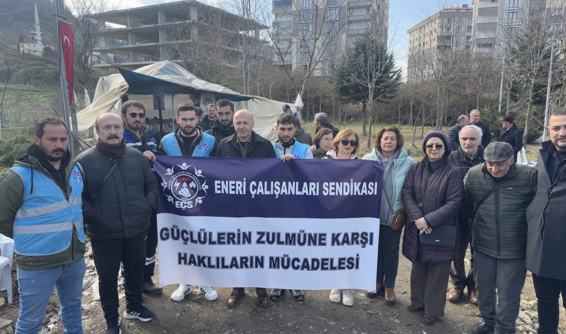 Haber: Gençağa KARAFAZLI (TRABZON) –  Doğu Karadeniz Bölgesi’nde elektrik dağıtım