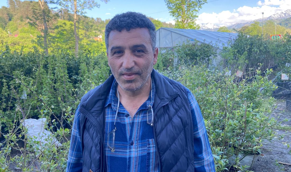 Haber: Gençağa Karafazlı (RİZE) – Fındıklı Ziraat Odası Başkanı Mehmet Özsoy,