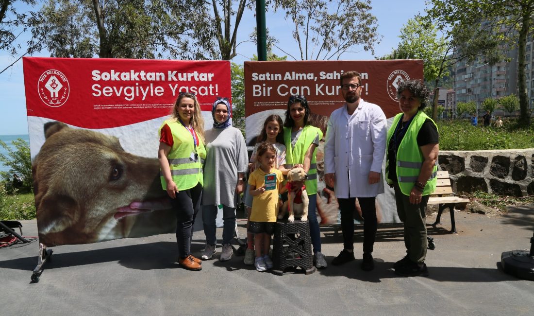 Rize Belediyesi tarafından hayvan sever dernekleriyle işbirliği içerisinde “Kedi ve