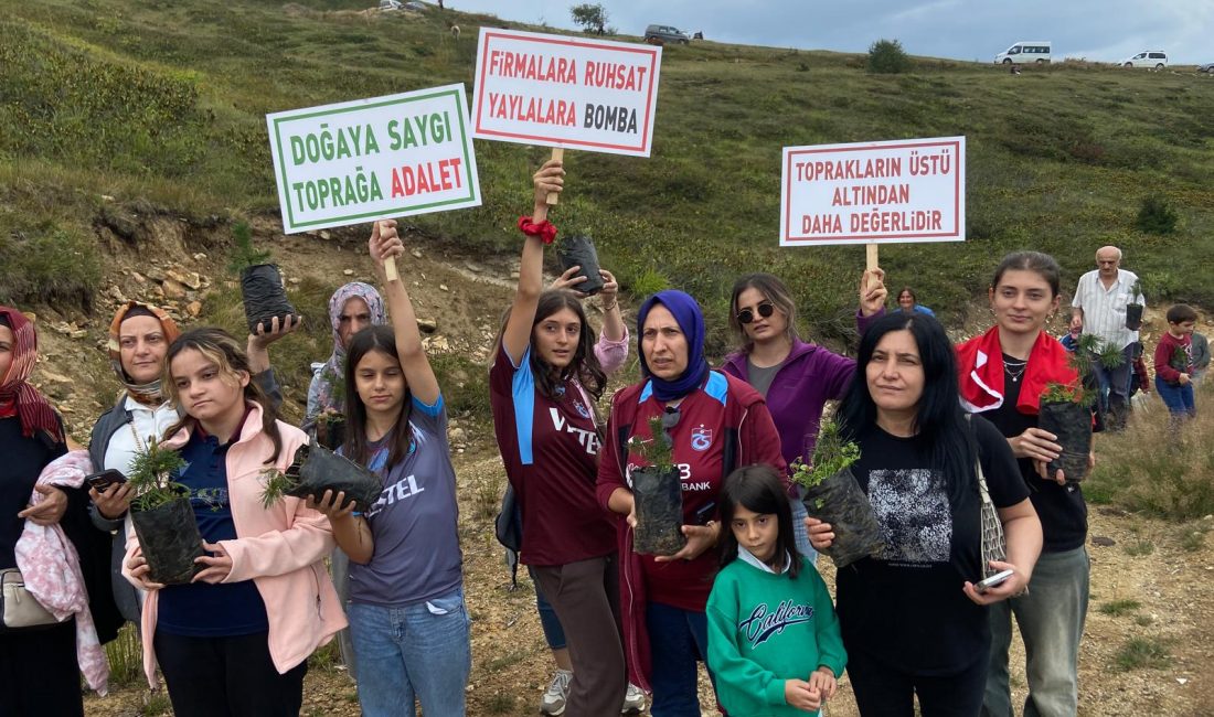 Araklı halkının Altın madeni arama çalışmalarına karşı başlattığı hukuk mücadelesi