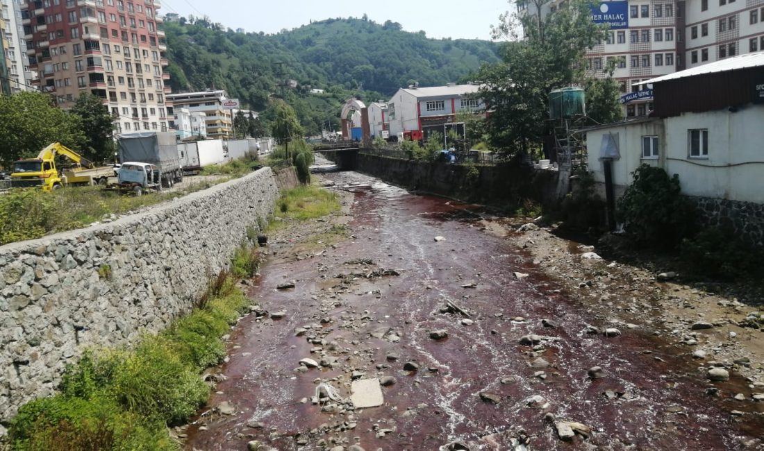 Haber: Gençağa Karafazlı Görüntü: Serdar Genç (RİZE)- Rize merkezde Çiftekavak