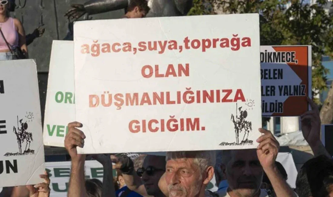 Zeytin ağaçlarının kıyımının önünü açacağı gerekçesiyle eleştirilen, Enerji, ulaşım ve