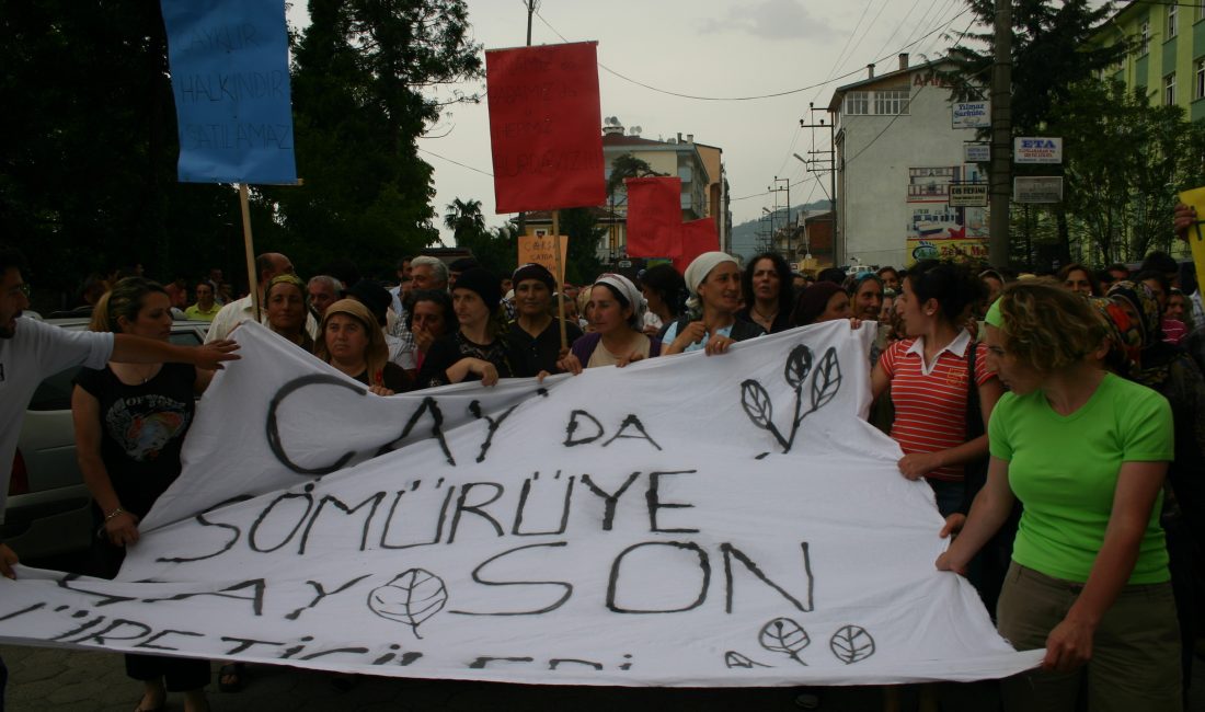 Haber. Gençağa Karafazlı (RİZE)- Çay işletmeleri genel müdürlüğü (Çaykur) 2.sürgün