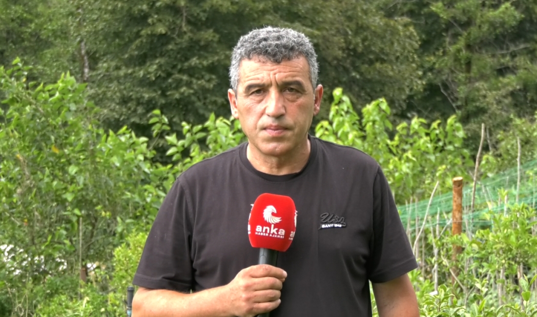 Özel Haber: Gençağa Karafazlı Hükümetin çay alım politikası, ikinci sürgün