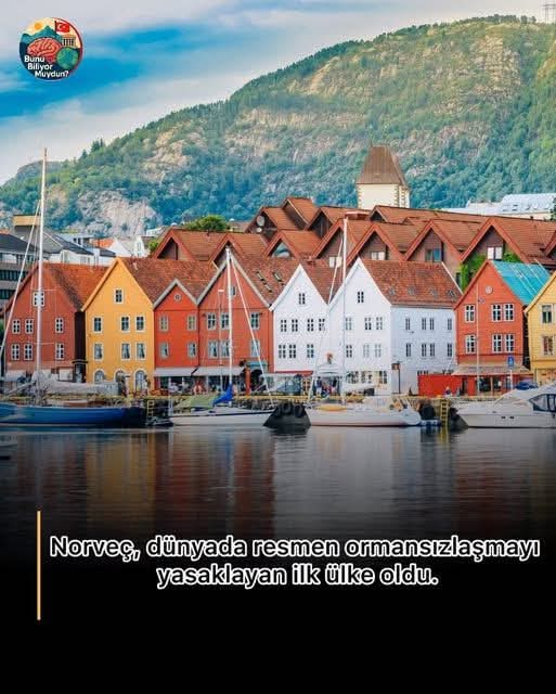 Norveç, Tedarik Zincirinde Ormansızlaşmayı Yasaklayan İlk Ülke Oldu Norveç, Tedarik Zincirinde Ormansızlaşmayı Yasaklayan İlk Ülke Oldu 2020 yılında