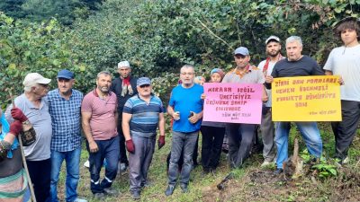 Haber: Coşkun Özbucak https://abone.ankahaber.net/static/video/3736183e-5bd5-4e0c-ab0d-877ef879d3a1-720.mp4 (ORDU) – Tüm Köy Sen Ordu Şubesi,