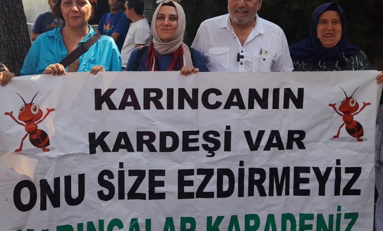 Karıncalar Direniyor: Toprağımızı Vermeyeceğiz! Bugün bize dayatılan soru şu: “Maden