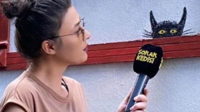 Göz Altına Alınan Sokak Kedisi adlı YouTube kanalının sahibi Ebru