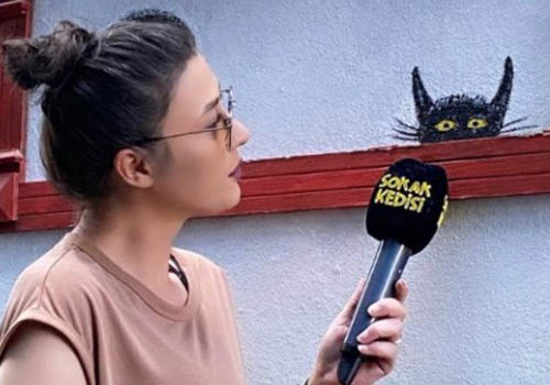 Göz Altına Alınan Sokak Kedisi adlı YouTube kanalının sahibi Ebru