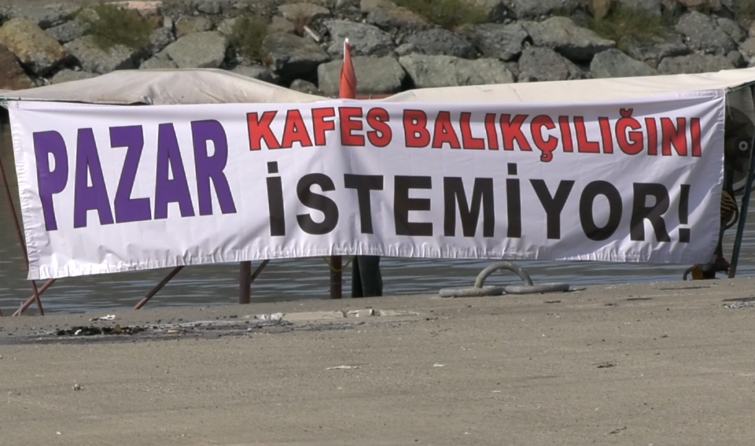 HABER: Günay Karafazlı KAMERA: Gençağa KARAFAZLI  (RİZE) – Rize’nin Pazar