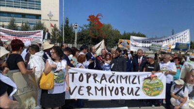 Zeytinlikler başta tüm toprakları sınırsız bir şekilde madencilik faaliyetlerine açan