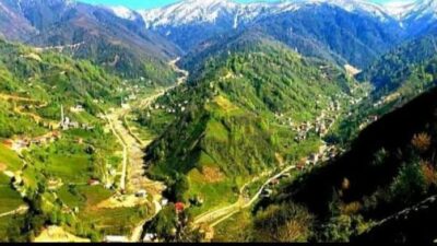 Handüzü Yaylası Kültür ve Tabiat Varlıkları Koruma Derneği Başkanı Ceyhun