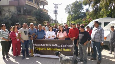 Haber: Gençağa KARAFAZLI (HATAY) – Hatay’ın Samandağ ilçesine bağlı Çöğürlü Mahallesi’nde