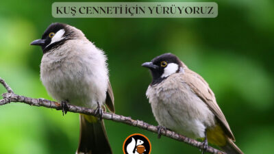 Haber: Coşkun ÖZBUCAK (ORDU) – Ordu’nun Altınordu ilçesi Durugöl Mahallesi’nde,