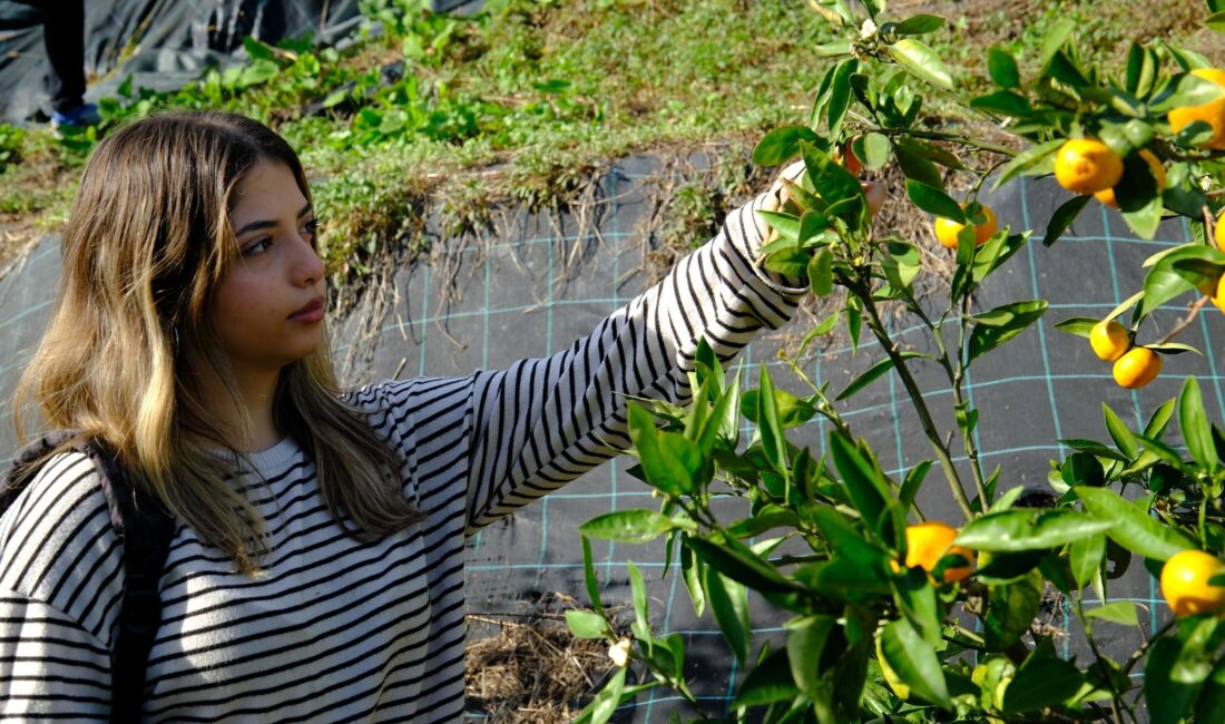 ÇAYKUR Atatürk Çay ve Bahçe Kültürleri Araştırma Enstitüsünde kurulan bahçede