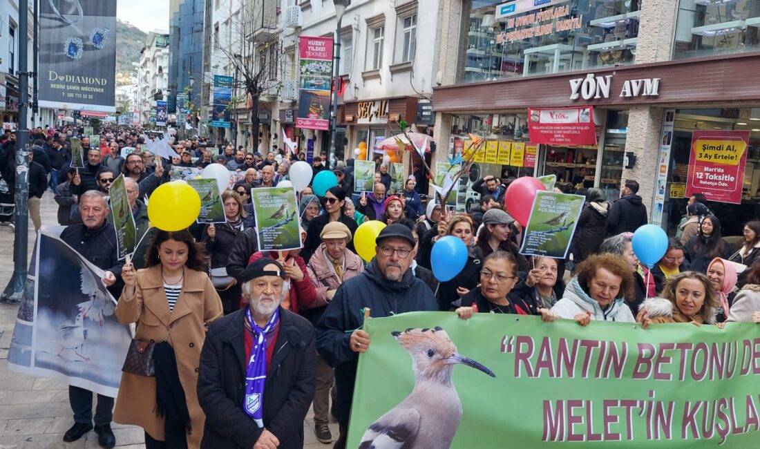 HABER: Gençağa KARAFAZLI GÖRÜNTÜ: Coşkun ÖZBUCAK (ORDU)- Ordu’nun Altınordu ilçesi