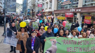 HABER: Gençağa KARAFAZLI GÖRÜNTÜ: Coşkun ÖZBUCAK (ORDU)- Ordu’nun Altınordu ilçesi