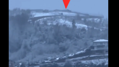 ÖZEL HABER: Selda Karafazlı RİZE – Rize’de sahipsiz hayvanların korunması ve