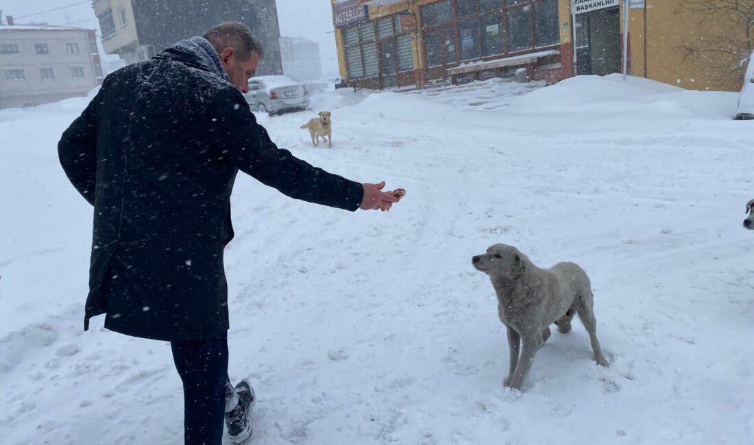 HABER: Coşkun ÖZBUCAK (ORDU)- Gürgentepe’de kış şartları etkisini artırırken, CHP