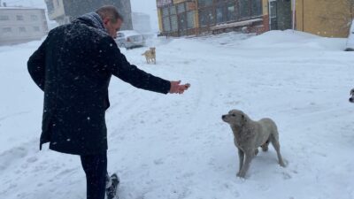 HABER: Coşkun ÖZBUCAK (ORDU)- Gürgentepe’de kış şartları etkisini artırırken, CHP