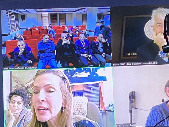 Anzer Balında Sarsıntı: “Tahlillerin Taçsız Kraliçe” Görevden Alındı ÖZEL HABER.