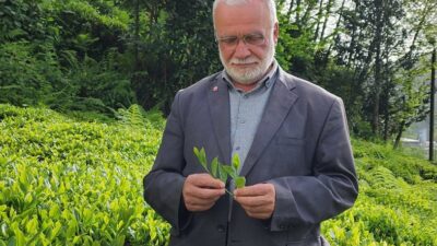 Saadet Partisi GİK Üyesi Hasan Uzun’dan Çay Fiyatı ve Rize