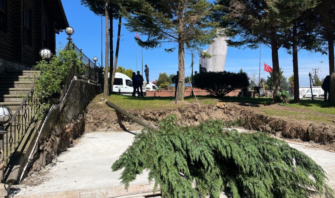 Rize Çayeli‘nde ağaç katliamı!!! Haber:Arif Azak (RİZE)- Rize’nin Çayeli ilçesinde