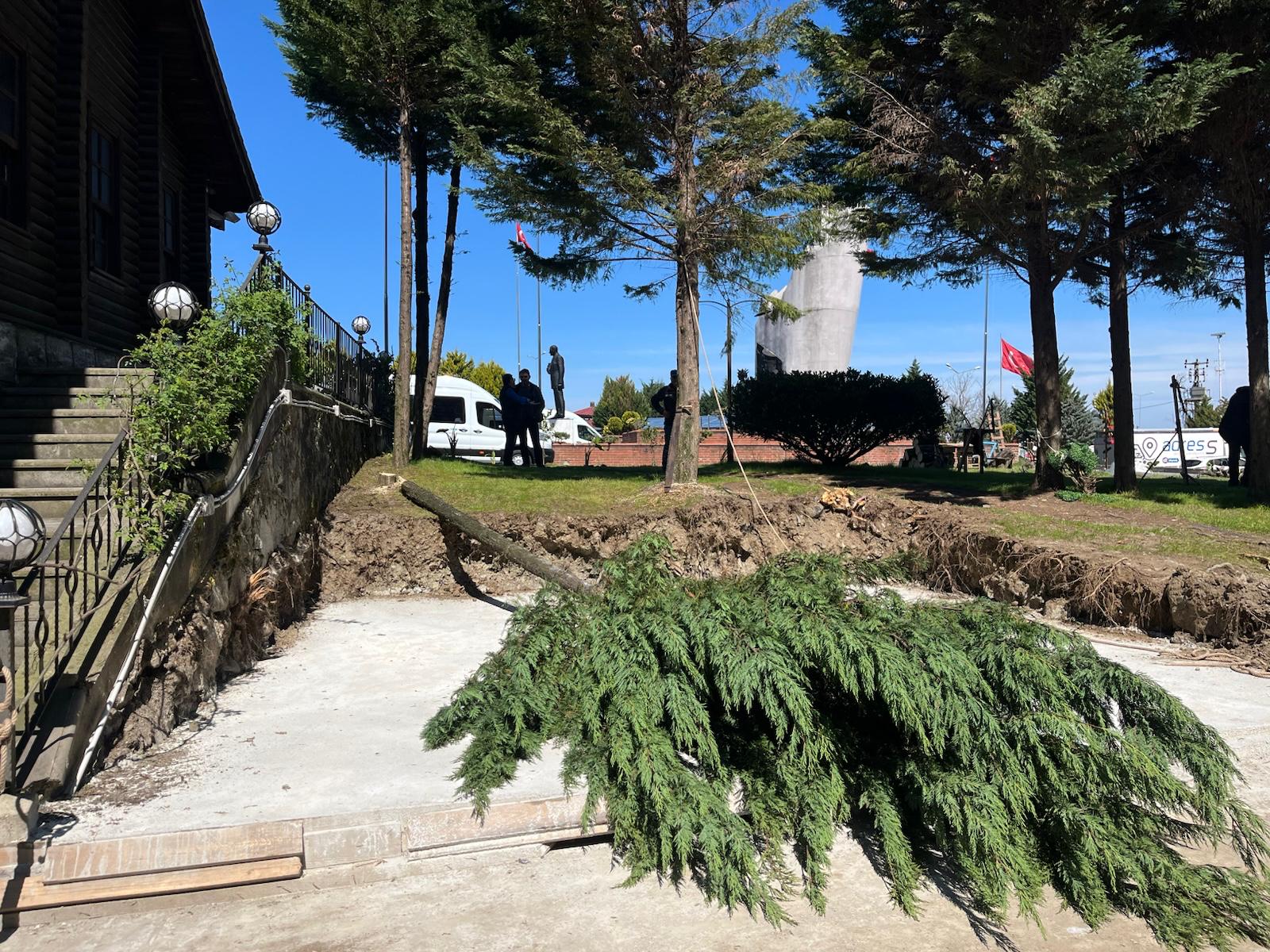 Rize Çayeli‘nde ağaç katliamı!!! Haber:Arif Azak (RİZE)- Rize’nin Çayeli ilçesinde