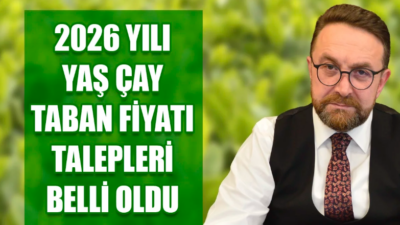 Doğu Karadeniz’in en önemli geçim kaynaklarından biri olan çay sektörü