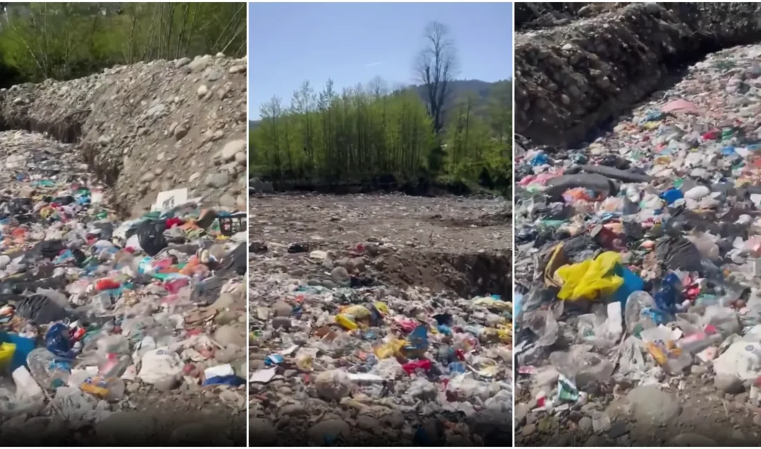 Çevre, Şehircilik ve İklim Değişikliği Bakanlığı, Rize’de açık alanda çöp dökülmesi