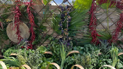 Fethiye’de düzenlenen Gastro Fest, yalnızca bir lezzet buluşması değil; yerel