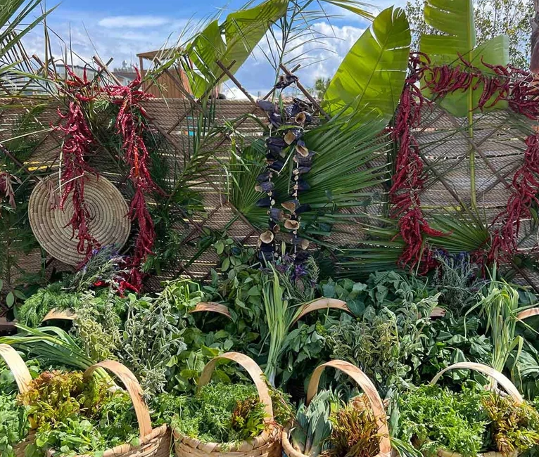 Fethiye’de düzenlenen Gastro Fest, yalnızca bir lezzet buluşması değil; yerel