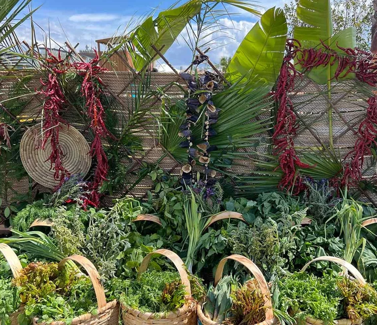 Fethiye’de düzenlenen Gastro Fest, yalnızca bir lezzet buluşması değil; yerel