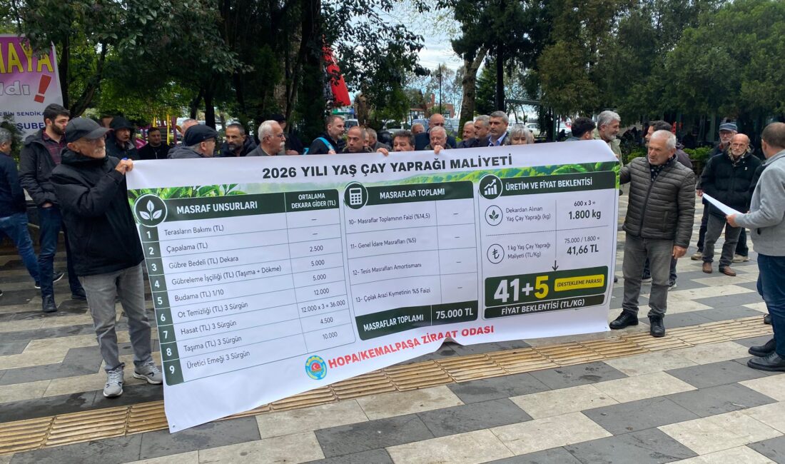 “205 Bin Çay üreticisinin Gözü Hukümetin açıklayacağı Fiyatta Hopa Ziraat odası