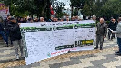 “205 Bin Çay üreticisinin Gözü Hukümetin açıklayacağı Fiyatta Hopa Ziraat odası