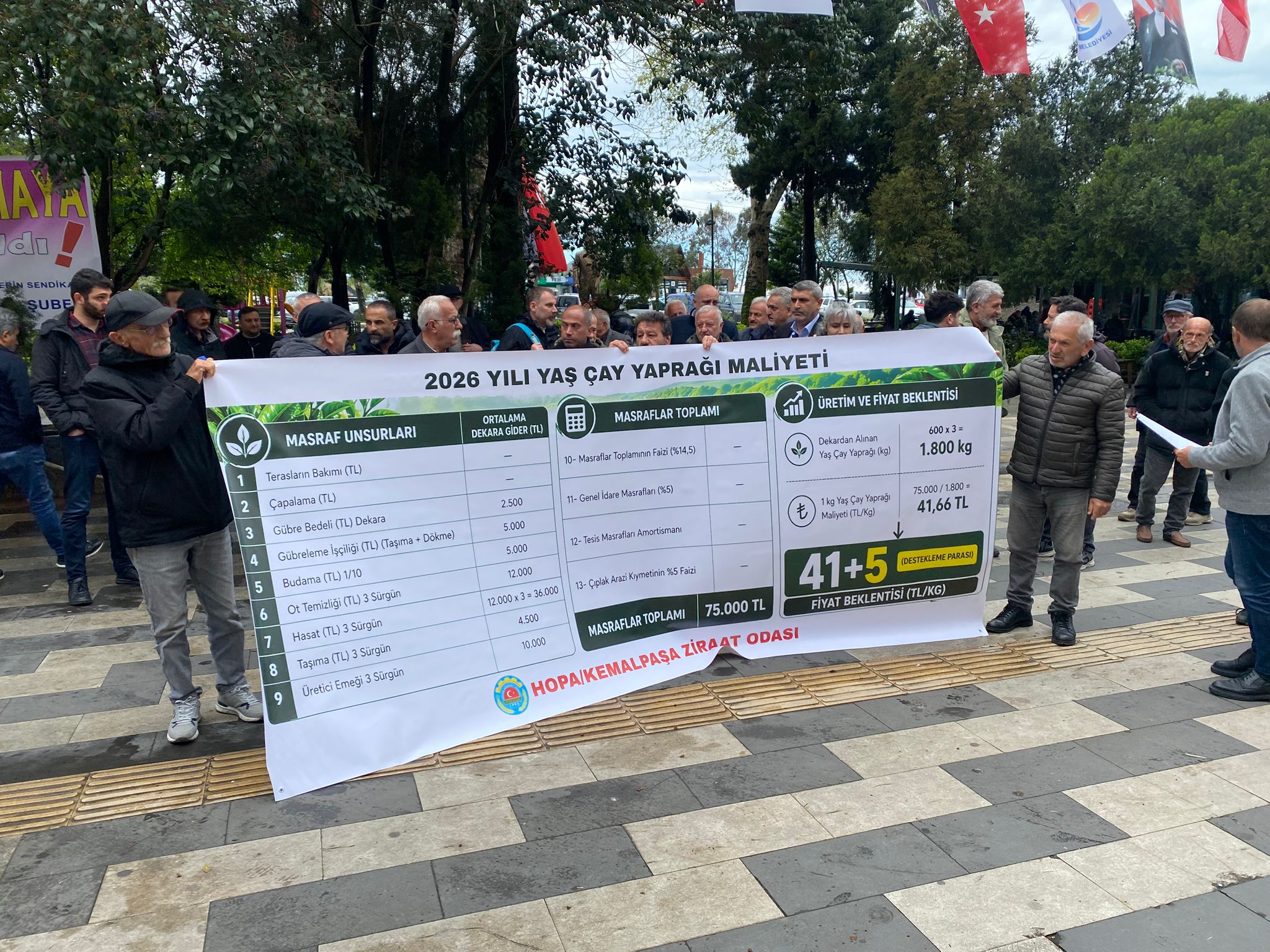 “205 Bin Çay üreticisinin Gözü Hukümetin açıklayacağı Fiyatta Hopa Ziraat odası