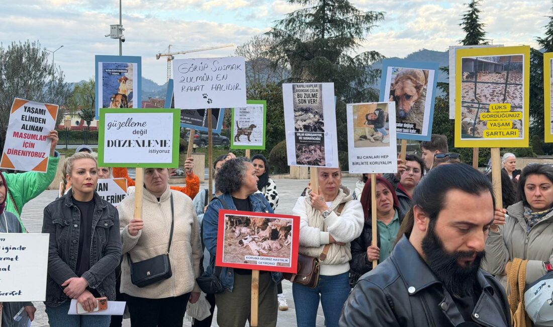 Haber:Selda Karafazlı Görüntü: Gençağa Karafazlı (RİZE)- Rize’de İl ilçe belediyelerin ortaklaşa