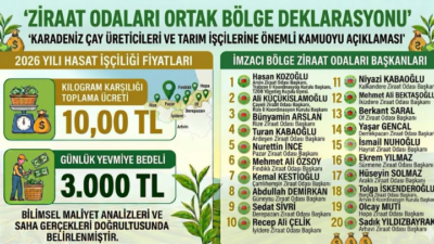 Karadeniz Ziraat Odalarından Ortak Deklarasyon: Çay Toplama Ücreti Belirlendi Kilo 10