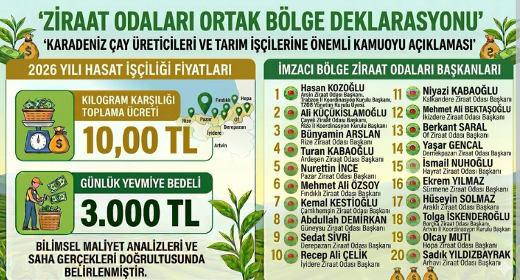 Karadeniz Ziraat Odalarından Ortak Deklarasyon: Çay Toplama Ücreti Belirlendi Kilo 10