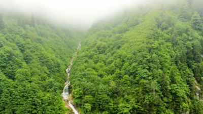 Rize ve Artvin dahil 23 ildeki bazı alanlar orman sınırları