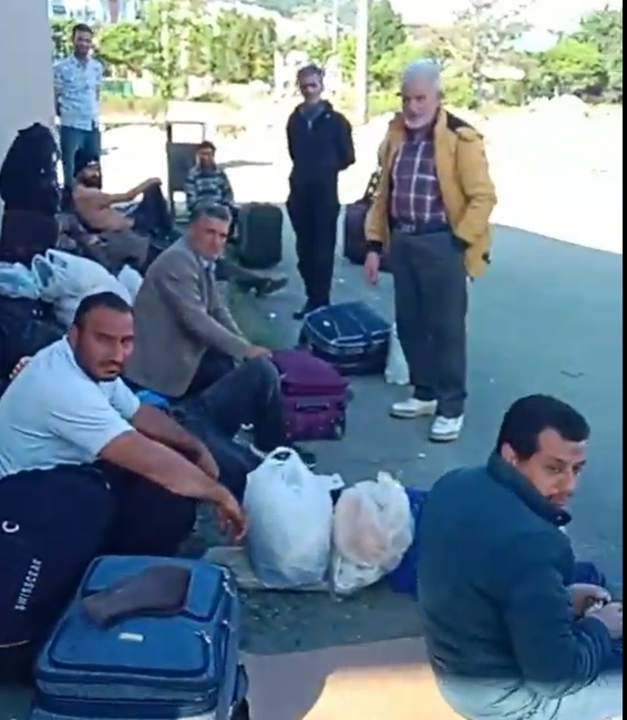 Haber: SELDA KARAFAZLI Görüntü: gençağa karafazlı (RİZE) – Çayeli İlçesi’nde çay toplama