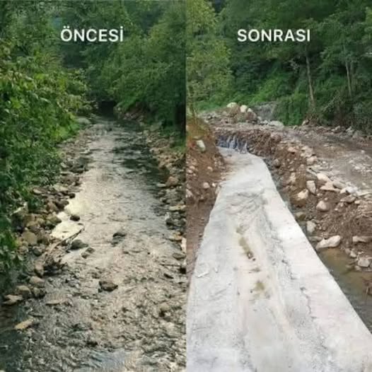 Vaminon çağrısını paylaşan , Arhavili yaşam savunucusu aktivist  Nazlı Demet