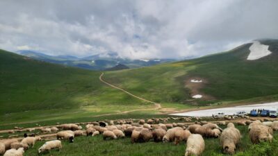 EMEP, “İKTİDAR YAYLALARI DA MADENCİLERE PAZARLIYOR.” Haber:Coşkun Özbucak (ORDU)- Emek