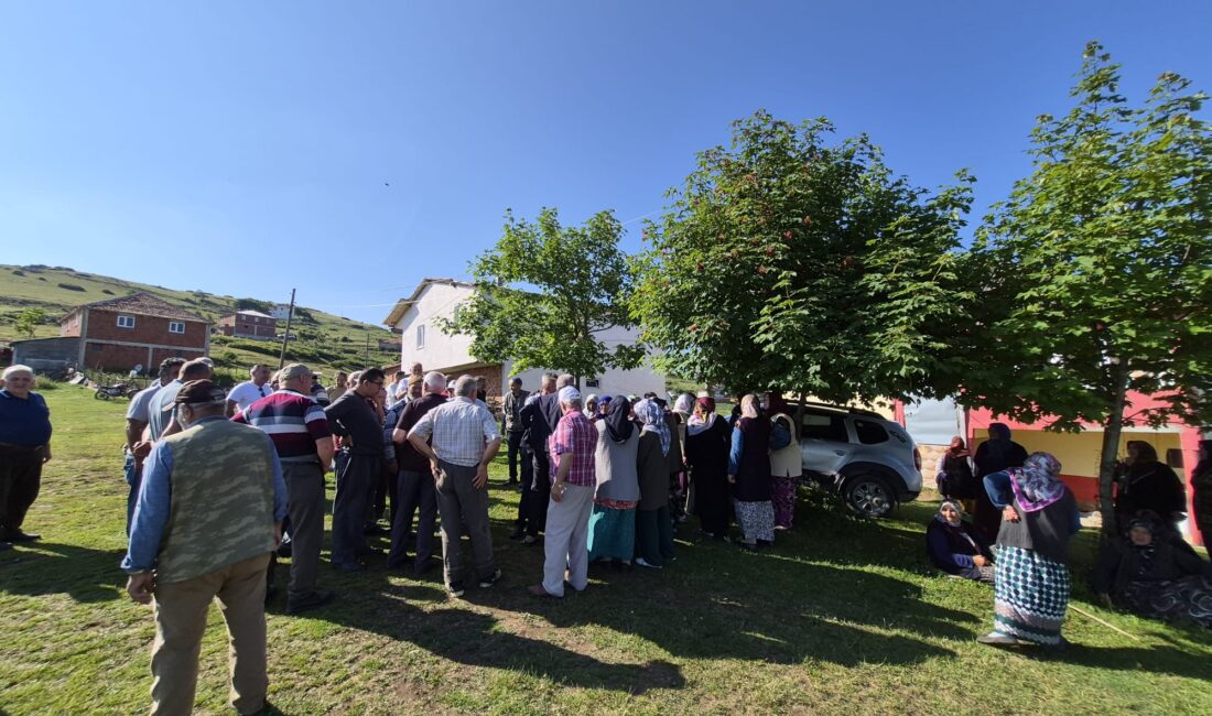 Haber: Gençağa KARAFAZLI (ORDU)- Ordu’nun Korgan, Aybastı ve Kabataş yaylalarında