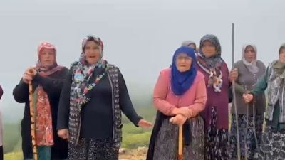 Özel Haber: Gençağa KARAFAZLI (ORDU)- Taş Yapı firması, Korgan Turnalık