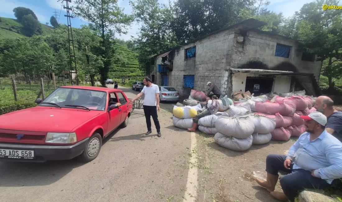 Yaş Çay Üreticisinden Talep Çay Üreticilerinden ÇAYKUR’a: “1 Eylül’de Tüm