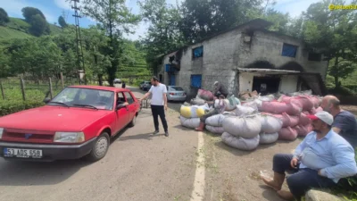 Yaş Çay Üreticisinden Talep Çay Üreticilerinden ÇAYKUR’a: “1 Eylül’de Tüm